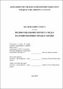 Ескіз