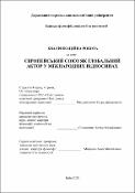 Ескіз