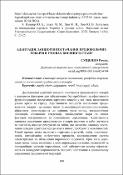 Ескіз
